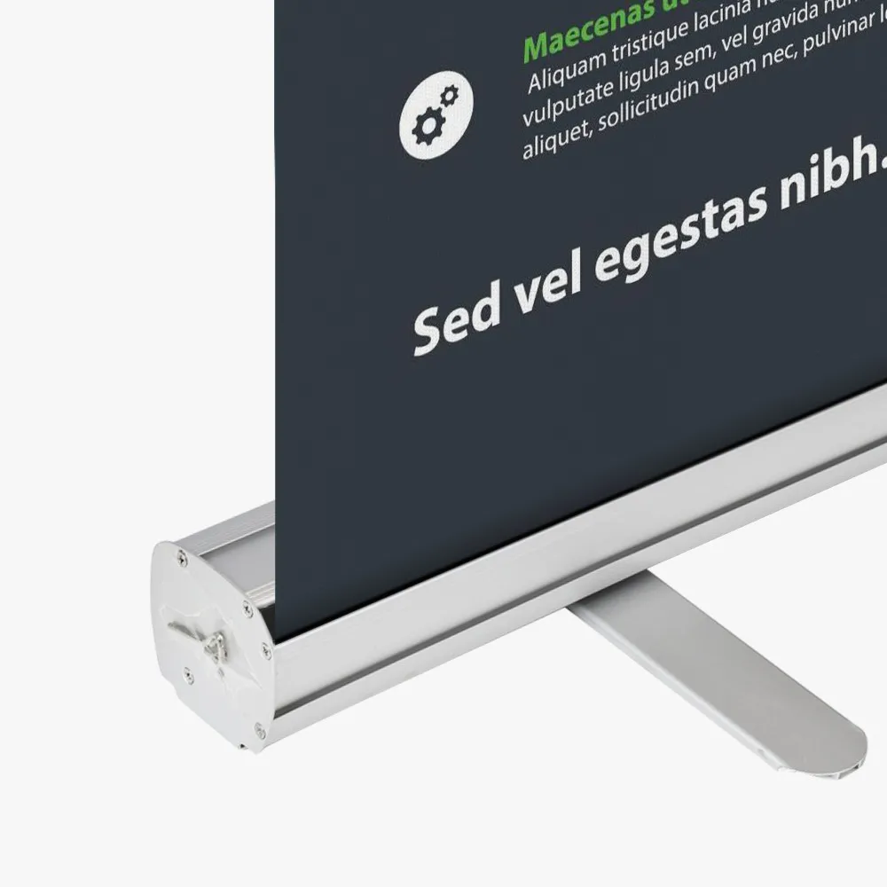 18593-3.webp