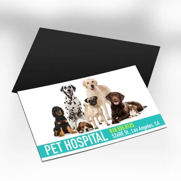 Magnet Business Cards — Detail 2